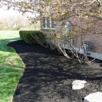 elegant lawn services mulch install