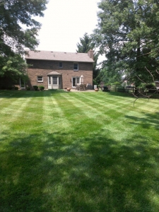 elegant-lawn-services-mowing-stripes10