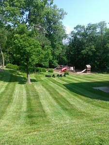 elegant-lawn-services-mowing-stripes11
