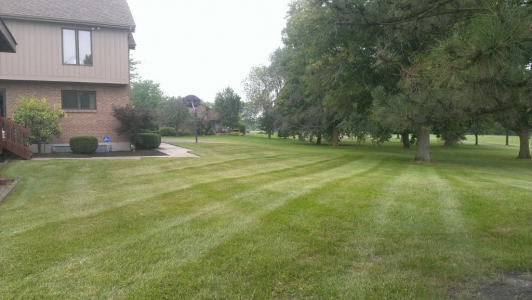 elegant-lawn-services-mowing-stripes14