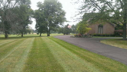 elegant-lawn-services-mowing-stripes15