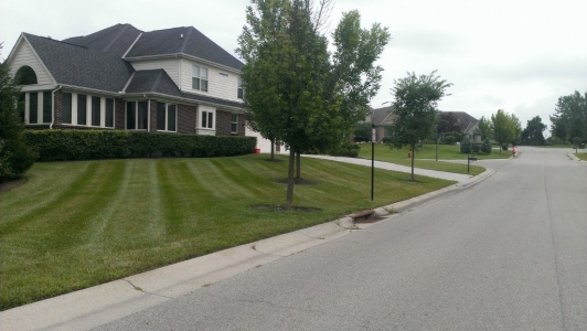 elegant-lawn-services-mowing-stripes16