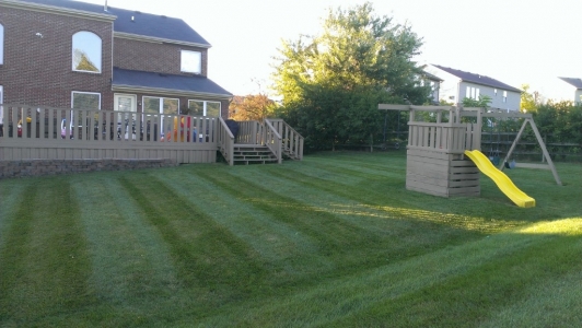 elegant-lawn-services-mowing-stripes18