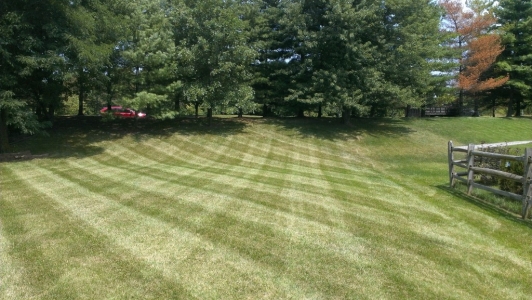 elegant-lawn-services-mowing-stripes20