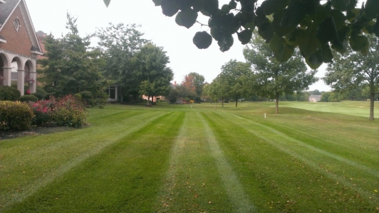 elegant-lawn-services-mowing-stripes22