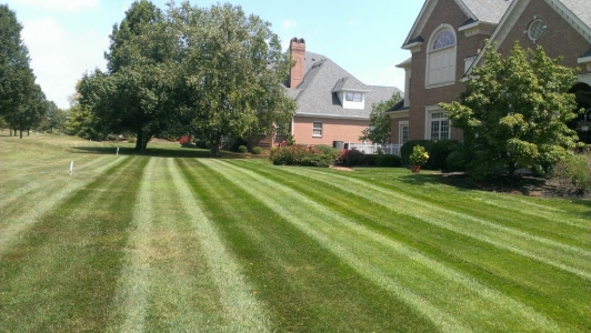 elegant-lawn-services-mowing-stripes23