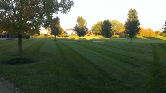 elegant-lawn-services-mowing-stripes25