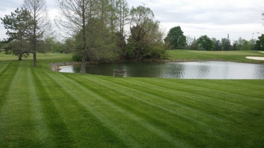 elegant-lawn-services-mowing-stripes28