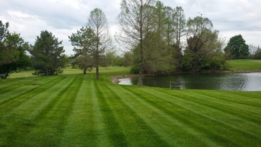 elegant-lawn-services-mowing-stripes32