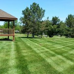 Lawn Mowing Elegant Lawn Services