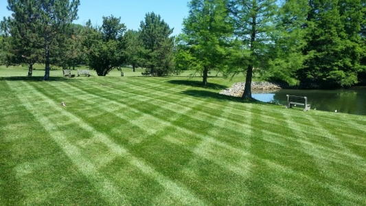 elegant-lawn-services-mowing-stripes36
