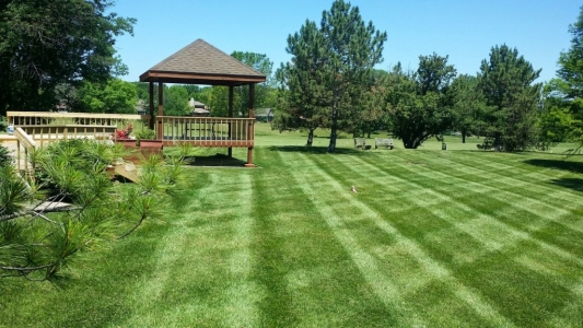 elegant-lawn-services-mowing-stripes37