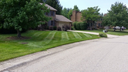 elegant-lawn-services-mowing-stripes38