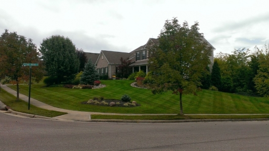 elegant-lawn-services-mowing-stripes41