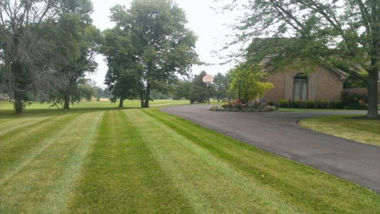 elegant-lawn-services-mowing-stripes43