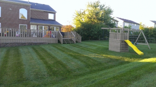 elegant-lawn-services-mowing-stripes44