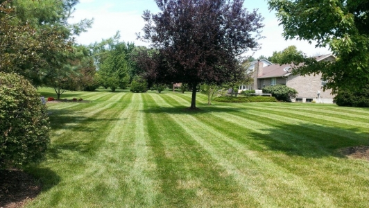 elegant-lawn-services-mowing-stripes45