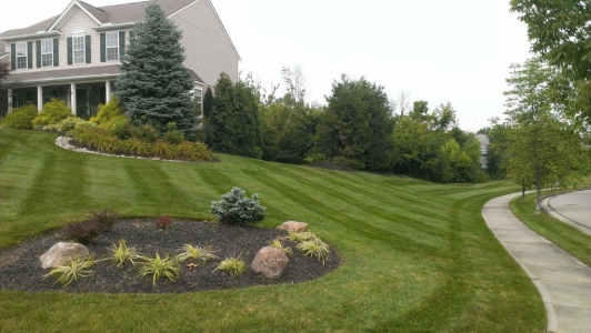 elegant-lawn-services-mowing-stripes47