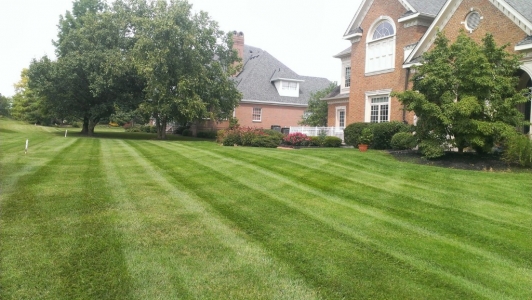 elegant-lawn-services-mowing-stripes48
