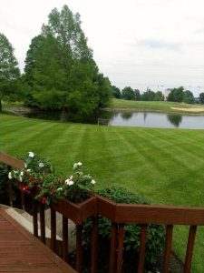 elegant-lawn-services-mowing-stripes7