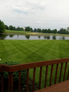 elegant-lawn-services-mowing-stripes8